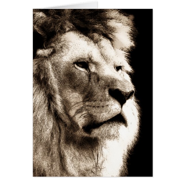 Sepia Lion (Voorkant)