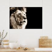 Sepia Lion dierenfotografie kunstwerk Poster (Keuken)
