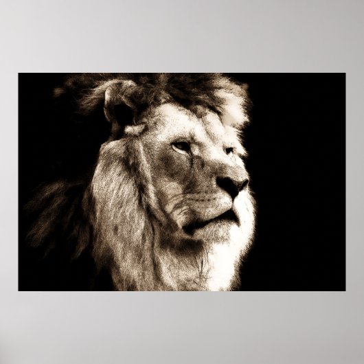Sepia Lion Poster (Voorkant)