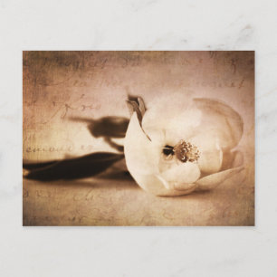  Sepia Magnolia Flower Floral Briefkaart