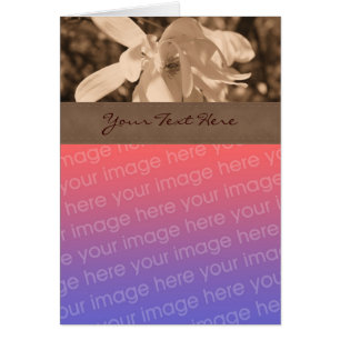 Sepia Magnolia Flower Photo Card