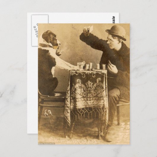 sepia Man-spelkaarten Dog Roking Pipe Briefkaart (Voorkant / Achterkant)