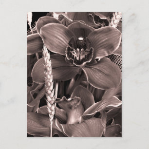 Sepia Orchids and Spikes Briefkaart