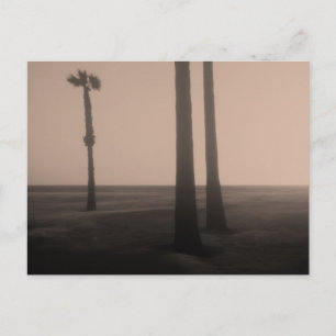 Sepia Palm Trees Fine Art-foto Briefkaart