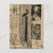 Sepia Pelikaan mixed media collage Briefkaart (Voorkant)