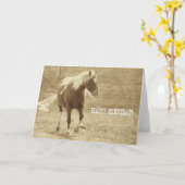 Sepia Pinto Pony Birthday Kaart (Gele Bloem)