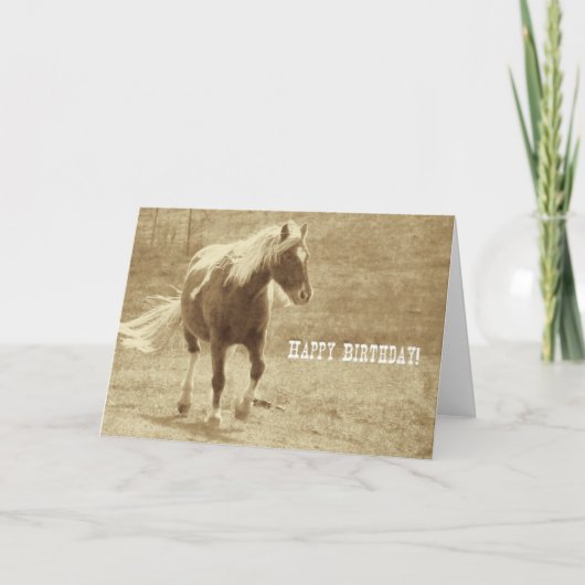 Sepia Pinto Pony Birthday Kaart (Voorkant)