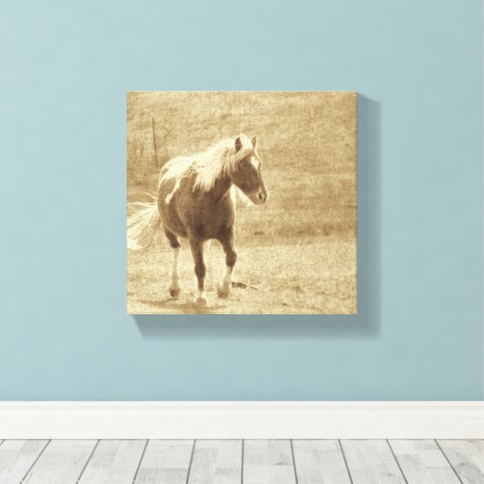 Sepia Pinto Pony Canvas Afdruk (Insitu (Houten vloer))