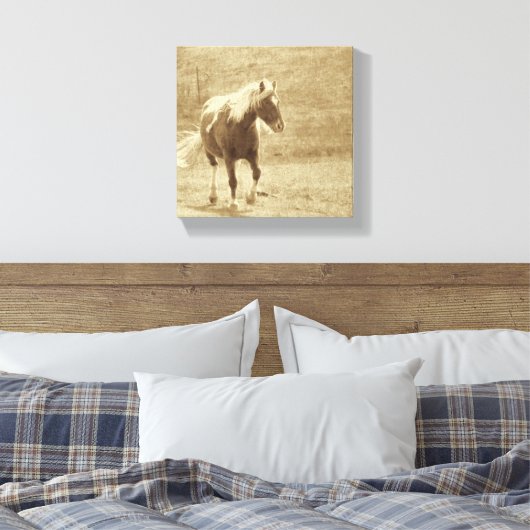Sepia Pinto Pony Canvas Afdruk (Insitu (Slaapkamer))