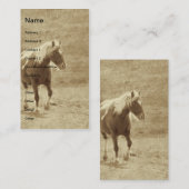 Sepia Pinto Pony Visitekaartje (Voorkant / Achterkant)