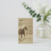 Sepia Pinto Pony Visitekaartje (Staand voorkant)