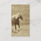 Sepia Pinto Pony Visitekaartje (Achterkant)