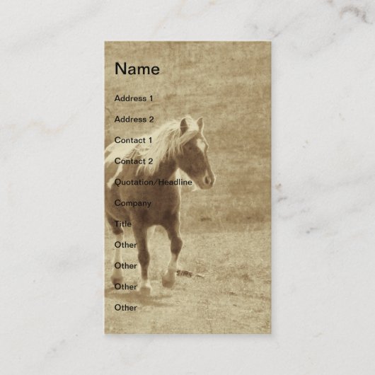 Sepia Pinto Pony Visitekaartje (Voorkant)