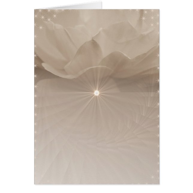 Sepia Roos Art (Voorkant)