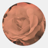  sepia Roos Bloem Ronde Sticker (Voorkant)