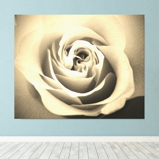 Sepia Roos Canvas Afdruk (Insitu (Houten vloer))