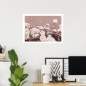 Sepia Rozen Bloementuin Foto Kunstprint Poster (Thuiskantoor)
