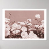 Sepia Rozen Bloementuin Foto Kunstprint Poster (Voorkant)