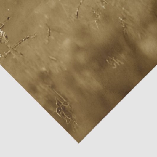 Sepia Scottish Highland Tissuepapier (Detail)