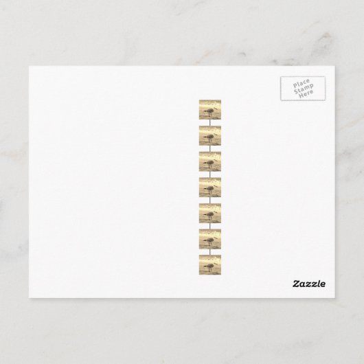 Sepia Seagull Briefkaart (Achterkant)