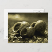 Sepia Shells Briefkaart (Voorkant / Achterkant)