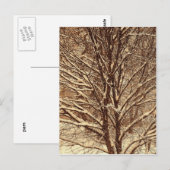 Sepia Snow Briefkaart (Voorkant / Achterkant)