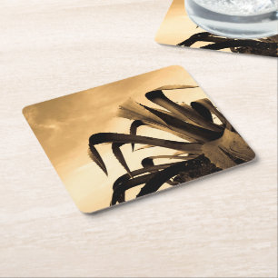 Sepia Spaans Aloë Plant Foto Kartonnen Onderzetters