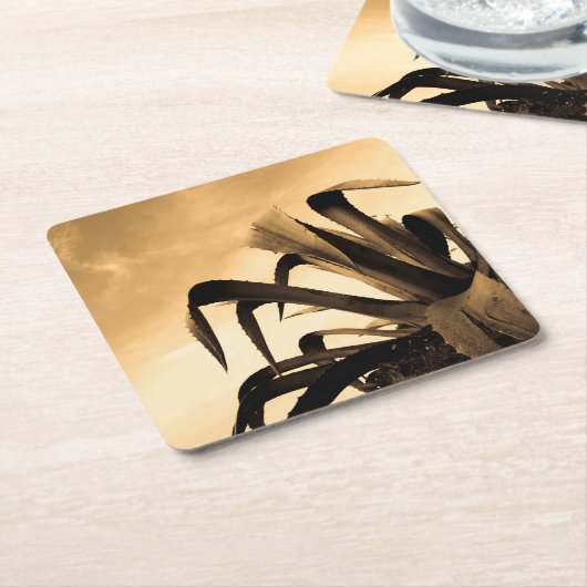 Sepia Spaans Aloë Plant Foto Kartonnen Onderzetters (Schuin)