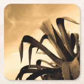 Sepia Spaans Aloë Plant Foto Kartonnen Onderzetters (Voorkant)