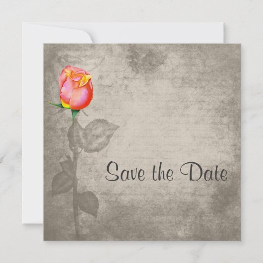 Sepia Spot Color Peace Roos Save the Date (Voorkant)