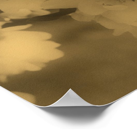 Sepia Spring Flower Blossom Partial Color Poster (Hoek)