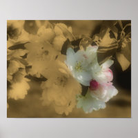 Sepia Spring Flower Blossom Partial Color