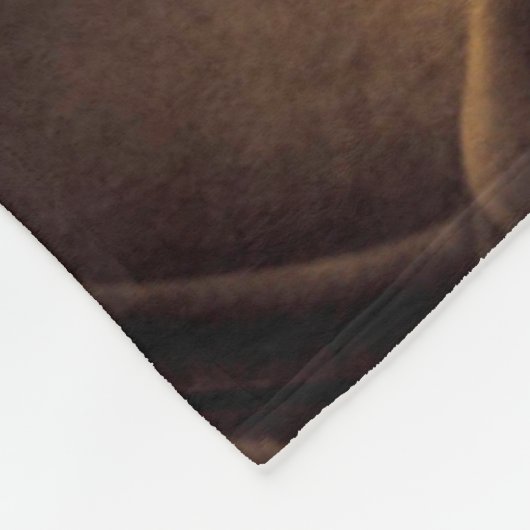 Sepia Steam Train Interior Fleece Deken (Hoek)