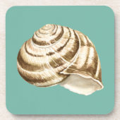 Sepia Striped Shell op Blauwgroen Bier Onderzetter (Voorkant)