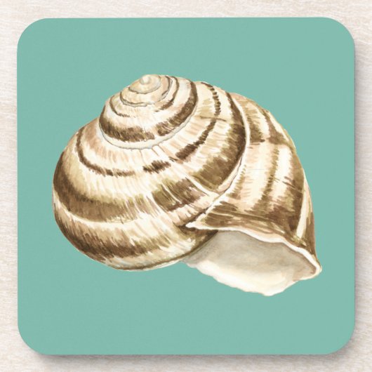 Sepia Striped Shell op Blauwgroen Bier Onderzetter (Voorkant)