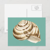 Sepia Striped Shell op Blauwgroen Briefkaart (Voorkant / Achterkant)