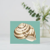 Sepia Striped Shell op Blauwgroen Briefkaart (Staand voorkant)