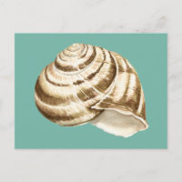 Sepia Striped Shell op Blauwgroen