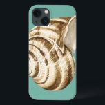 Sepia Striped Shell op Blauwgroen iPhone 13 Hoesje<br><div class="desc">Megan Meagher staat bekend om haar eenvoudige kunstwerken. Dit is een geweldig afbeelding decoratieve kunst die het leven van het zee vastlegt met een gestreepte conch sepia shell. Profiteer vandaag van deze fijne kunstafdrukken op blauwgroen kleuren op uw Zazzle-product.</div>