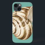 Sepia Striped Shell op Blauwgroen iPhone 13 Hoesje<br><div class="desc">Megan Meagher staat bekend om haar eenvoudige kunstwerken. Dit is een geweldig afbeelding decoratieve kunst die het leven van het zee vastlegt met een gestreepte conch sepia shell. Profiteer vandaag van deze fijne kunstafdrukken op blauwgroen kleuren op uw Zazzle-product.</div>