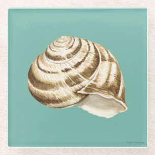 Sepia Striped Shell op Blauwgroen Glazen Onderzetter