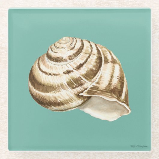 Sepia Striped Shell op Blauwgroen Glazen Onderzetter (Voorkant)