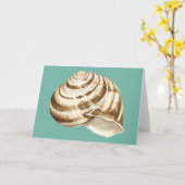Sepia Striped Shell op Blauwgroen Kaart (Gele Bloem)