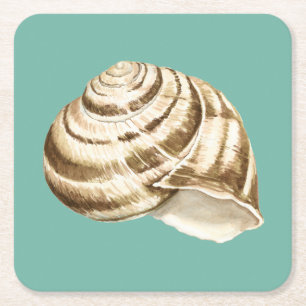 Sepia Striped Shell op Blauwgroen Kartonnen Onderzetters