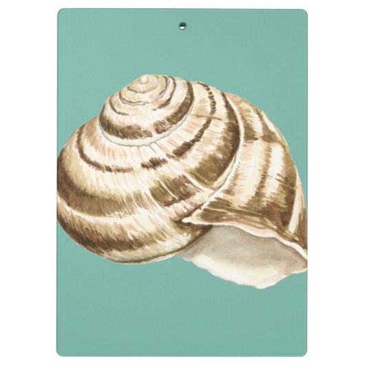 Sepia Striped Shell op Blauwgroen Klembord (Achterkant)