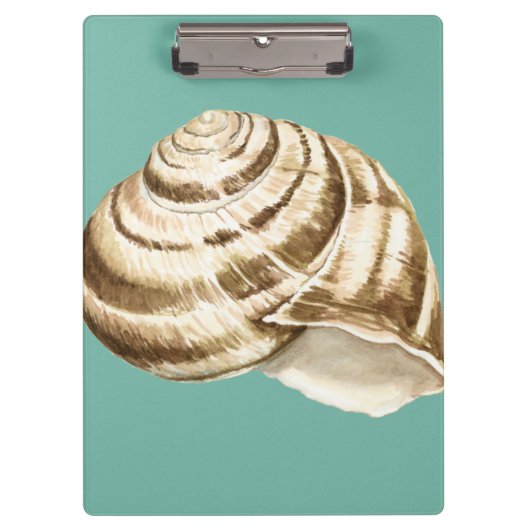 Sepia Striped Shell op Blauwgroen Klembord (Voorkant)