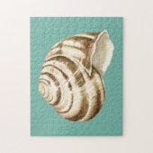 Sepia Striped Shell op Blauwgroen Legpuzzel (Verticaal)