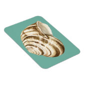 Sepia Striped Shell op Blauwgroen Magneet (Rechterzijde)