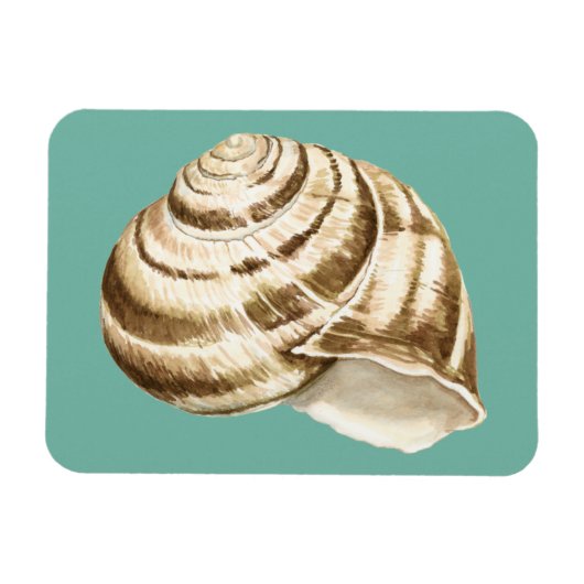Sepia Striped Shell op Blauwgroen Magneet (Horizontaal)