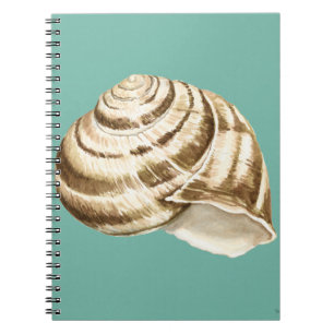 Sepia Striped Shell op Blauwgroen Notitieboek